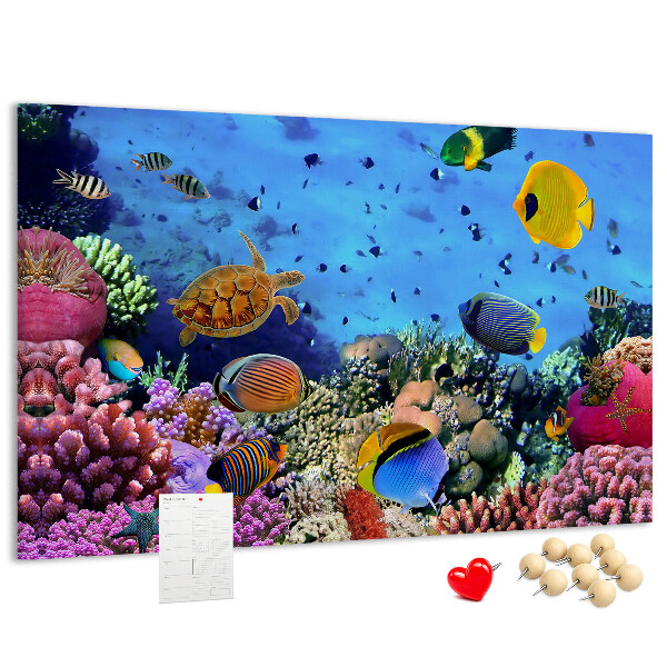 Cork board Underwater life