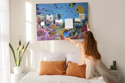 Cork board Underwater life