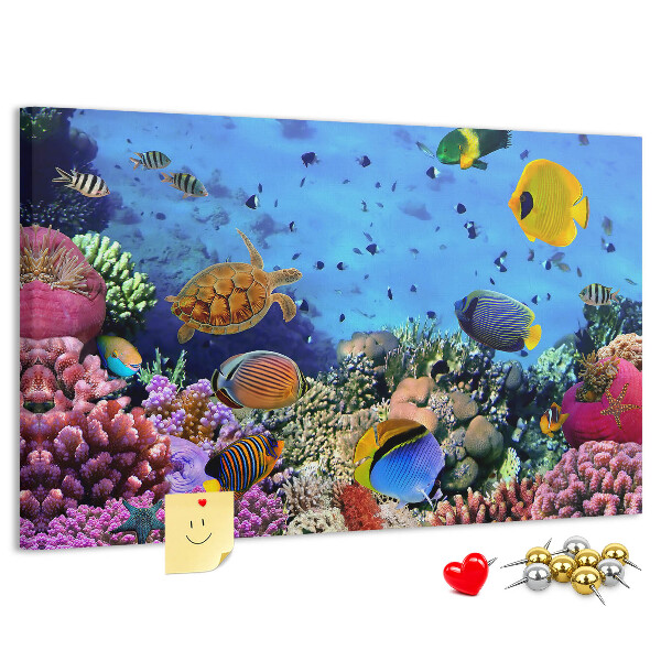 Cork board Underwater life