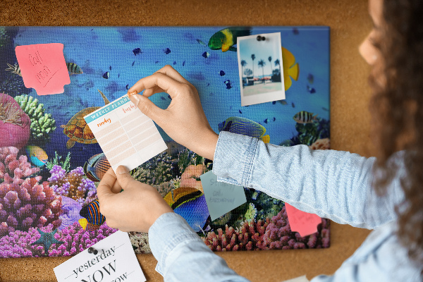 Cork board Underwater life