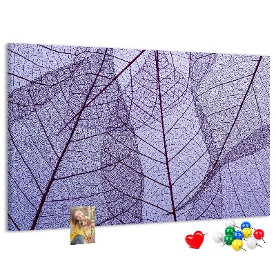 Cork display board Leaves nature