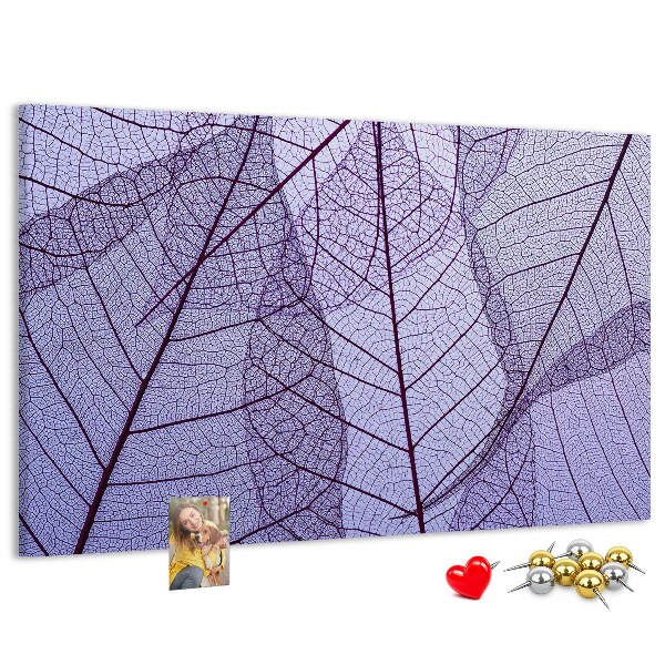 Cork display board Leaves nature