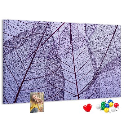 Cork display board Leaves nature