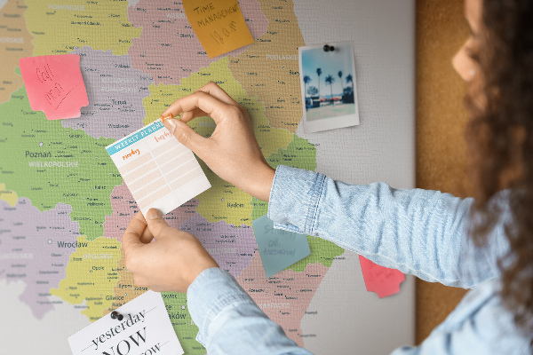 Cork display board Map of Poland