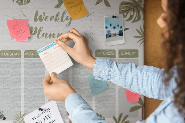 Cork board Safari weekly planner