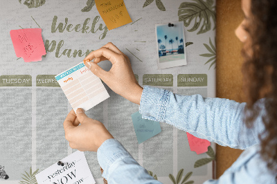 Cork board Safari weekly planner