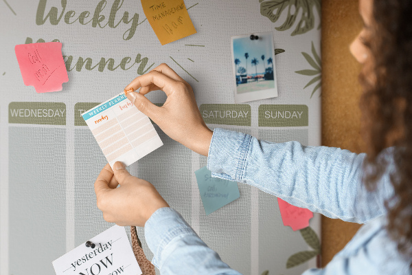 Cork board Safari weekly planner