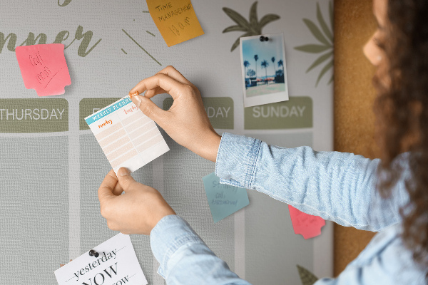 Cork board Safari weekly planner