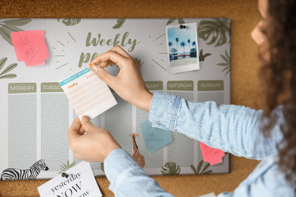 Cork board Safari weekly planner
