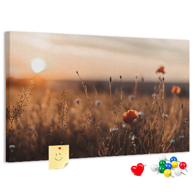 Cork display board Field sunrise