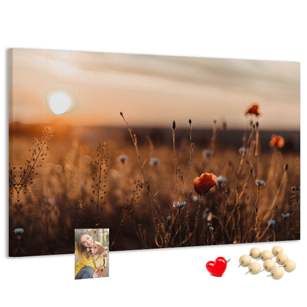 Cork display board Field sunrise