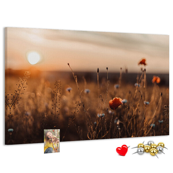 Cork display board Field sunrise