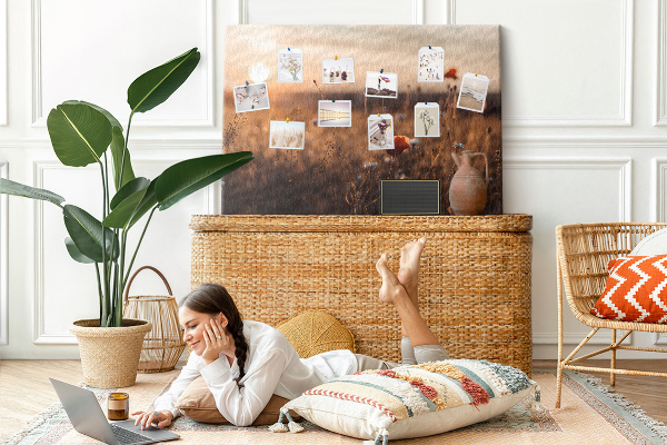 Cork display board Field sunrise