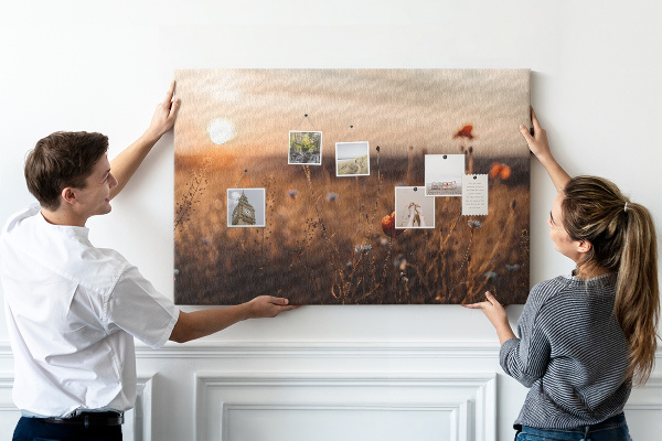 Cork display board Field sunrise