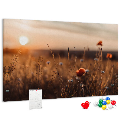 Cork display board Field sunrise