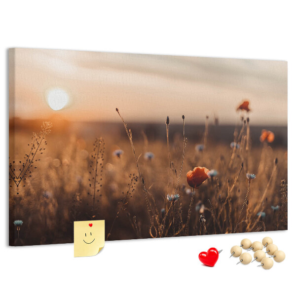 Cork display board Field sunrise
