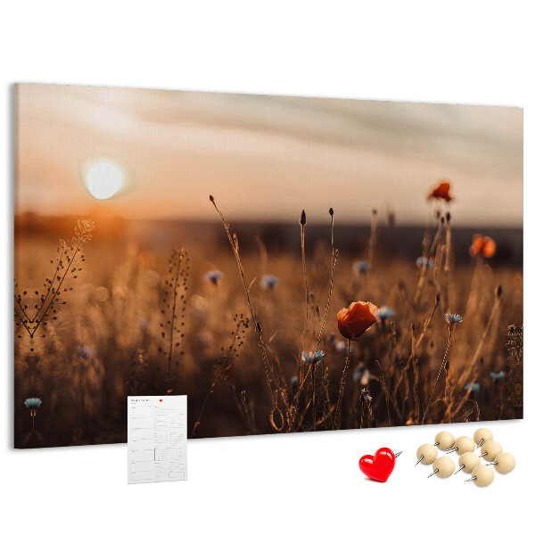 Cork display board Field sunrise