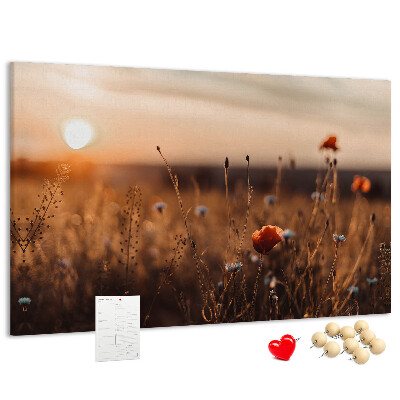 Cork display board Field sunrise