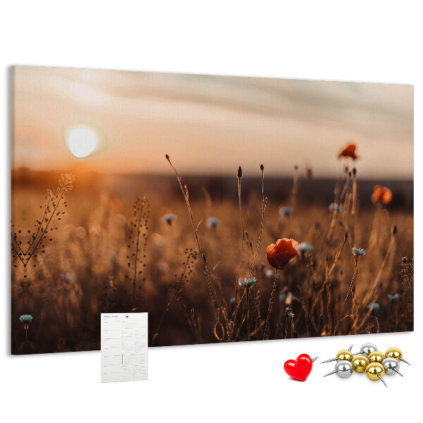 Cork display board Field sunrise