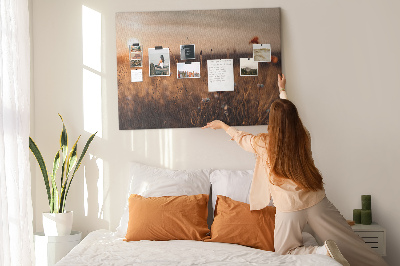 Cork display board Field sunrise