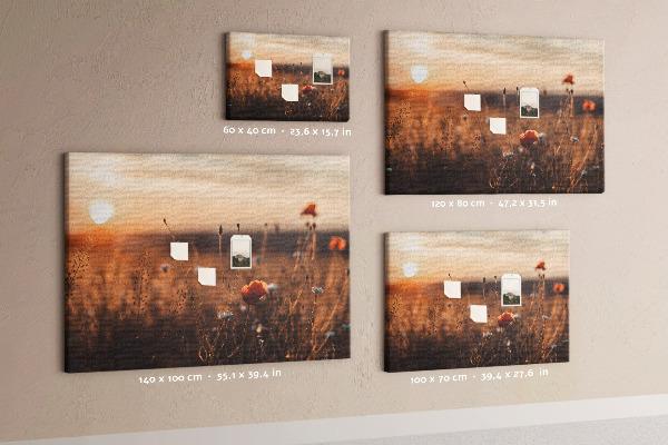 Cork display board Field sunrise