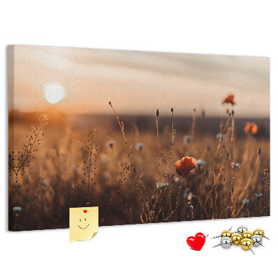 Cork display board Field sunrise