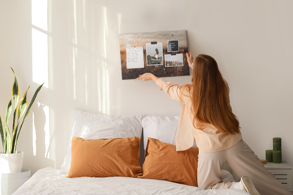 Cork display board Field sunrise