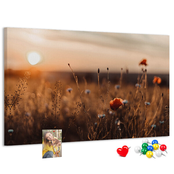 Cork display board Field sunrise