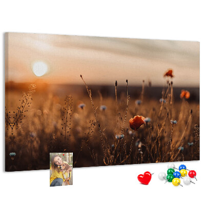Cork display board Field sunrise