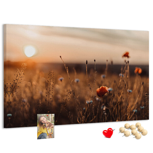 Cork display board Field sunrise