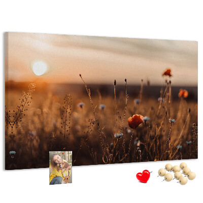 Cork display board Field sunrise