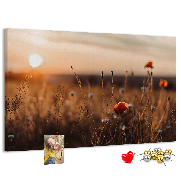 Cork display board Field sunrise