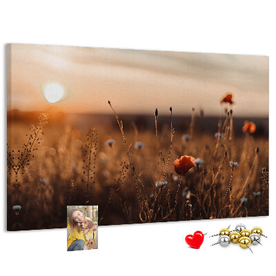 Cork display board Field sunrise