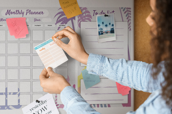 Cork memo board Monthly planner