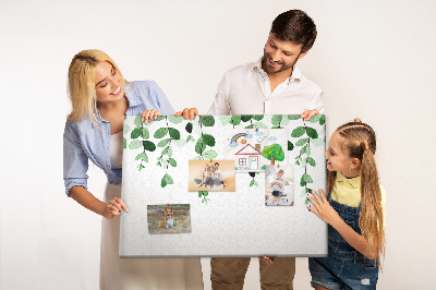 Cork board Plant leaves