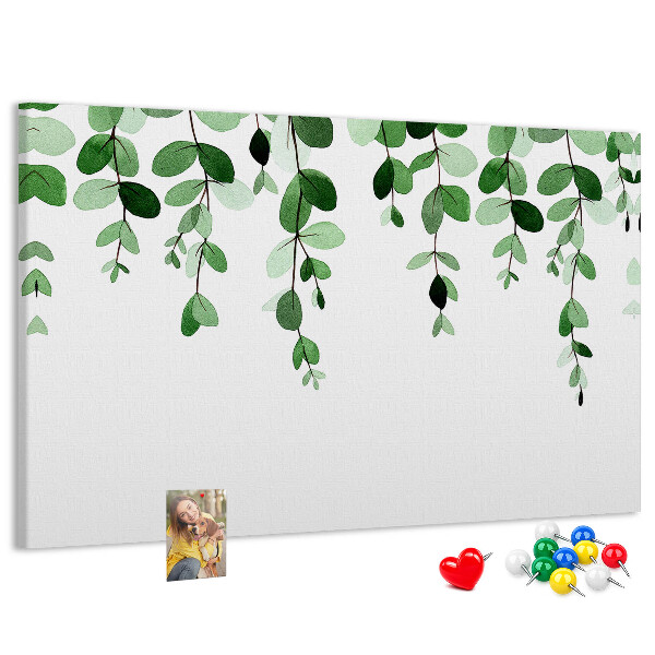 Cork board Plant leaves