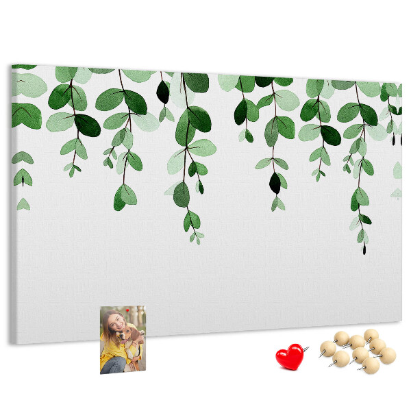 Cork board Plant leaves