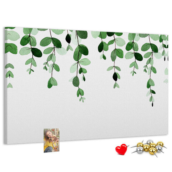Cork board Plant leaves