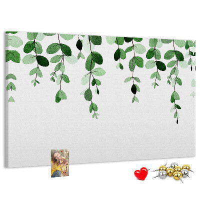 Cork board Plant leaves