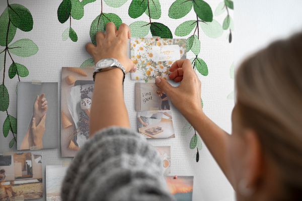 Cork board Plant leaves