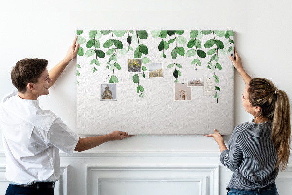 Cork board Plant leaves