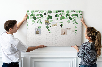 Cork board Plant leaves