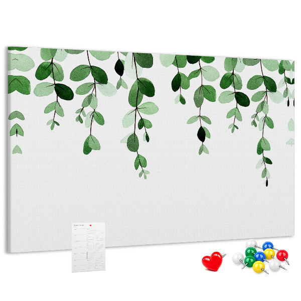Cork board Plant leaves
