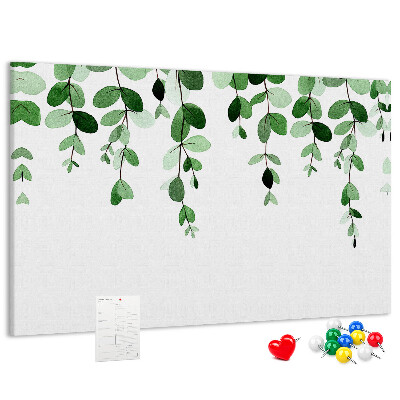 Cork board Plant leaves