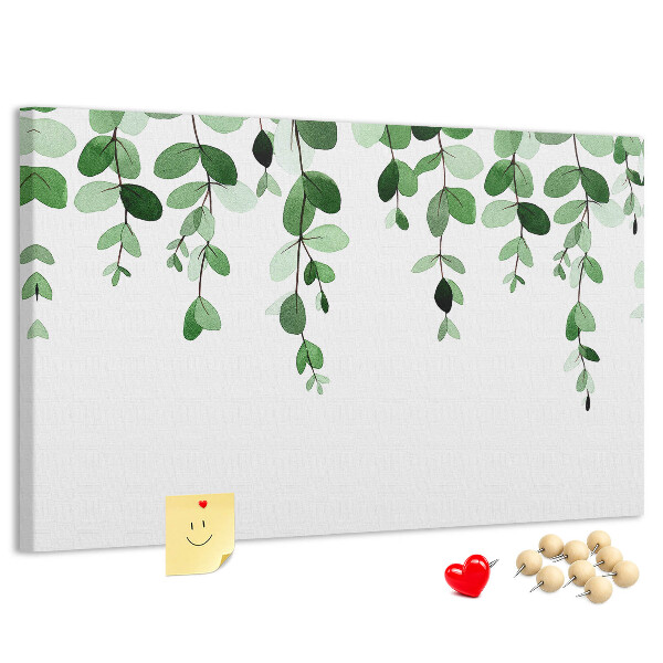 Cork board Plant leaves