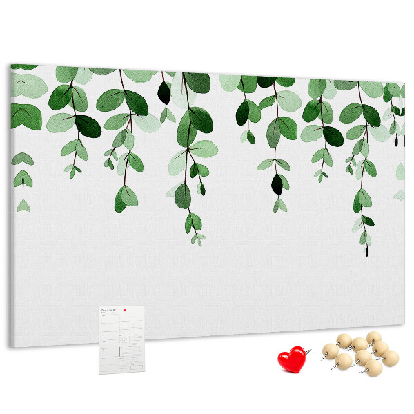 Cork board Plant leaves