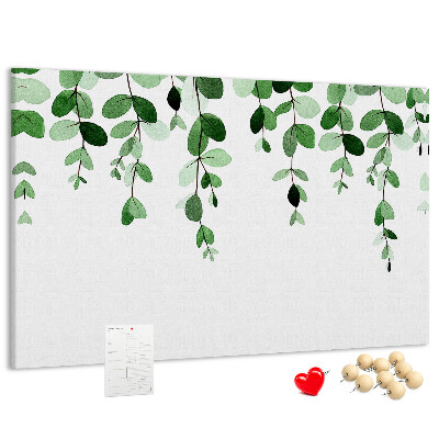 Cork board Plant leaves