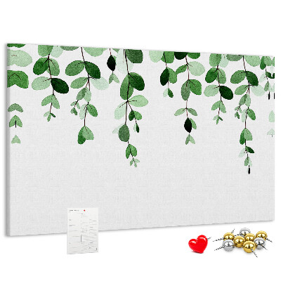Cork board Plant leaves