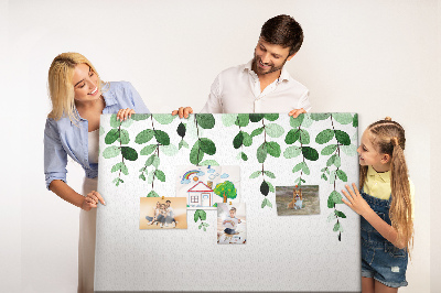 Cork board Plant leaves