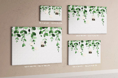 Cork board Plant leaves